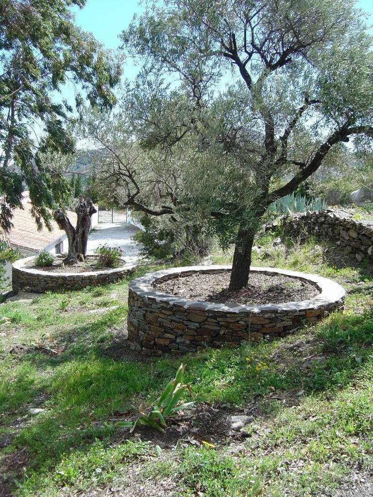 DSC08405 (1)
